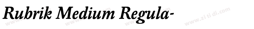 Rubrik Medium Regula字体转换